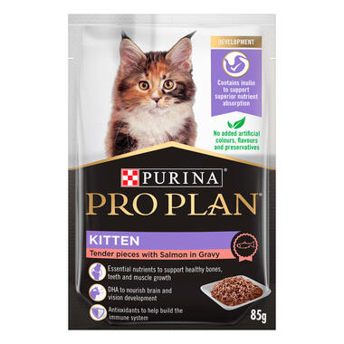 Wet food best sale untuk kitten